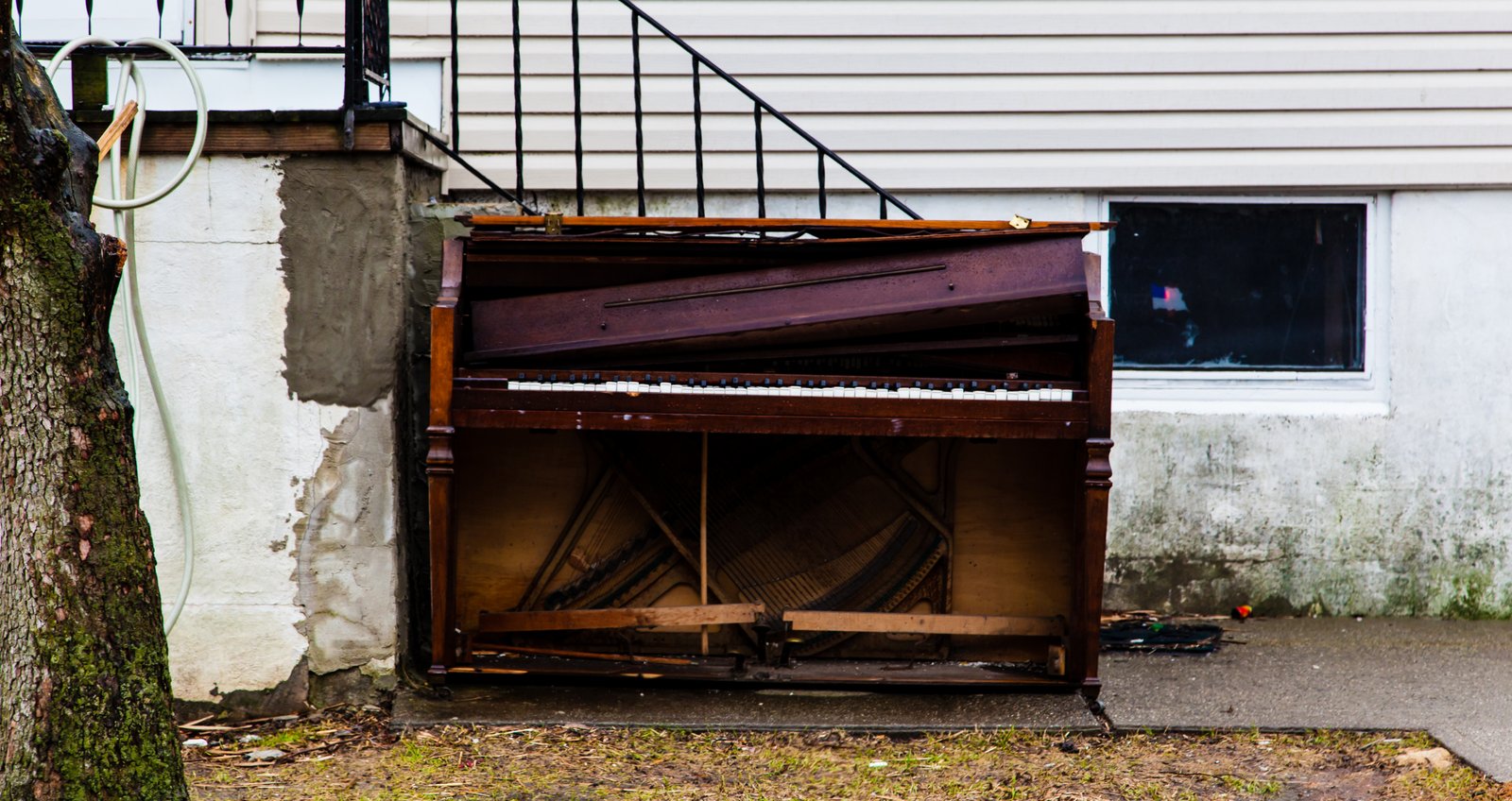 art-of-sandy-mo-staten island 2-49.jpg